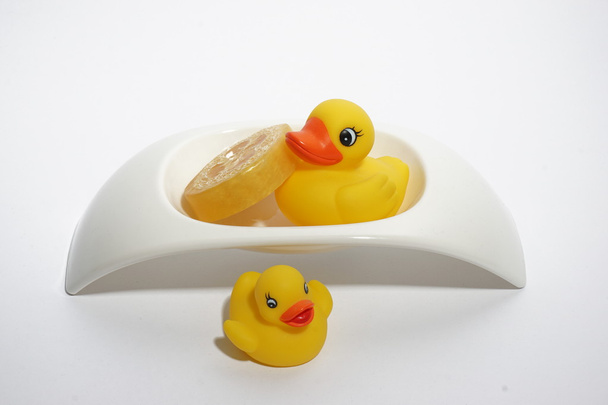 rubber duckies in a soap bowl - Photo, Image