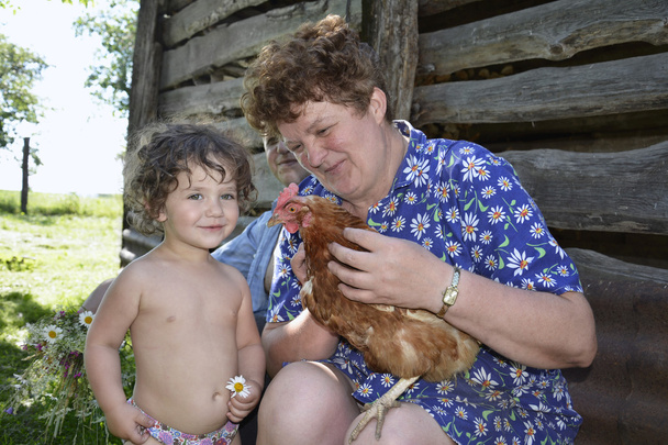 V létě v obci moje babička drží kuře - Fotografie, Obrázek