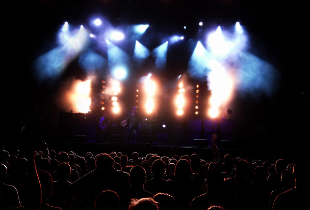 Concert Audience - Foto, Imagen