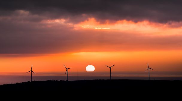日没時の風力発電所 - 写真・画像