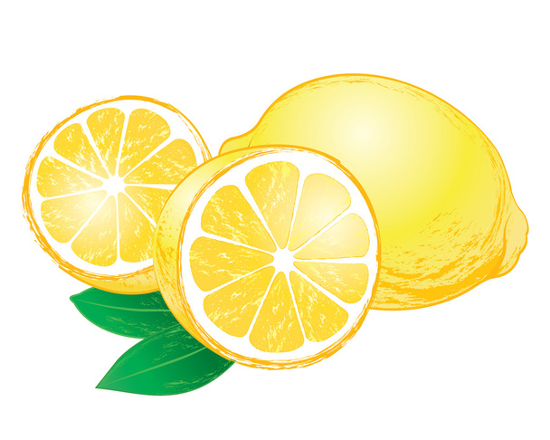 Vektor citrom levelekkel - Vektor, kép