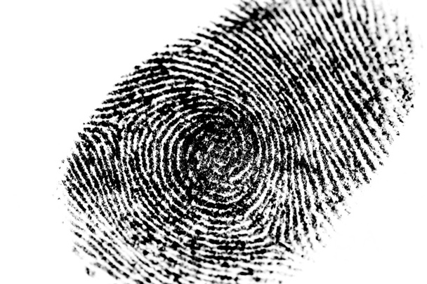 fingerprint isolated on white  - Photo, Image