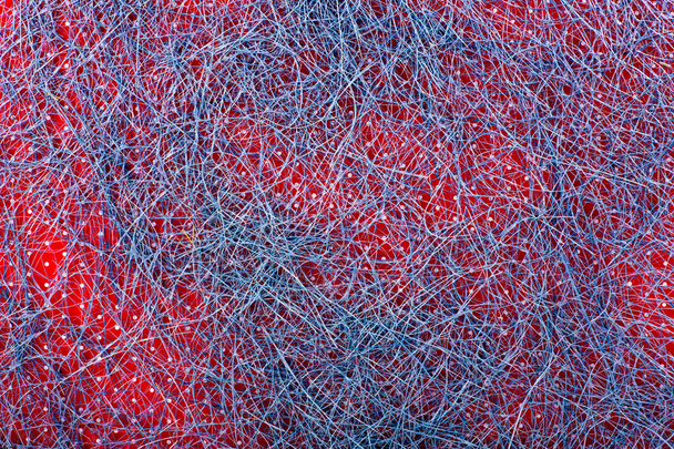 Абстрактне зображення множини переплетених ниток
 - Фото, зображення