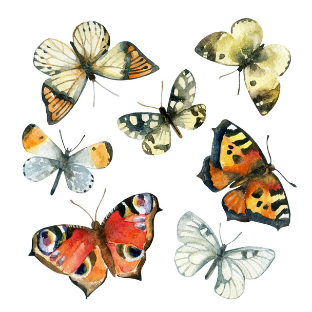 Aquarell Schmetterling Set - Foto, Bild
