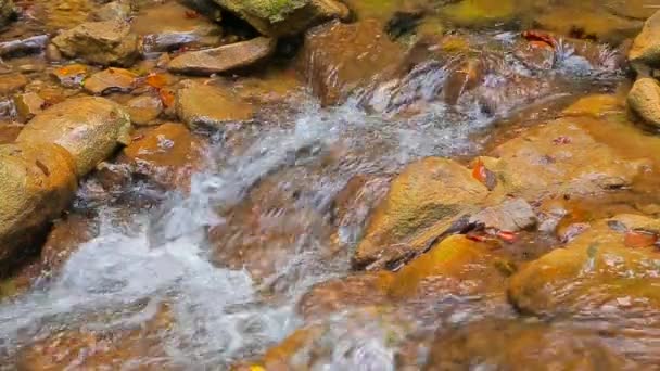 Malý potok tekoucí mezi kameny - Záběry, video