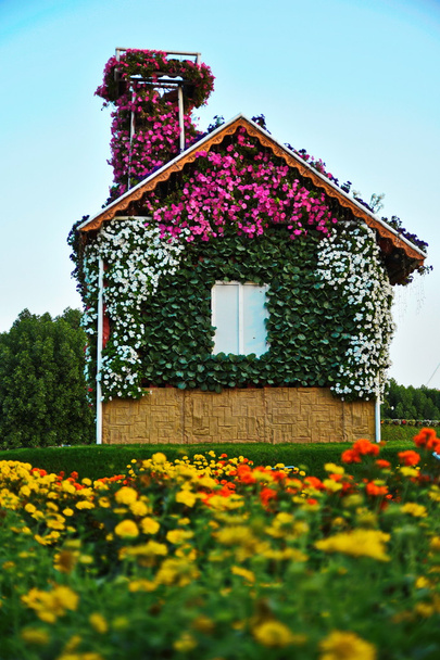 plein de maison de fleurs à Dubai Miracle Garden
 - Photo, image