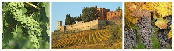 Collage with vineyards and castle, Brolio - Photo, Image
