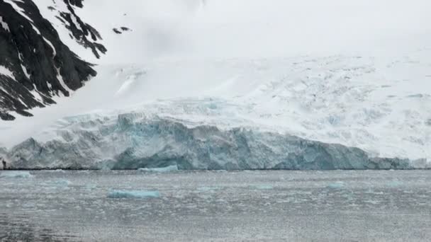 King George Island-kust van Antarctica met ijsformaties - Video