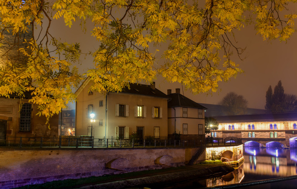 Νύχτα πόλη του Στρασβούργου, στο δρόμο περιπάτου της φύλλα το Φθινόπωρο κίτρινου στα δέντρα - Φωτογραφία, εικόνα