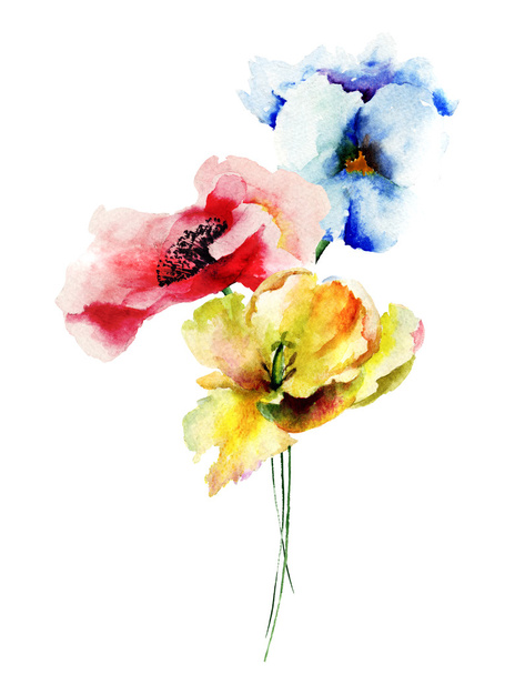 Original flowers watercolor illustration - Foto, afbeelding