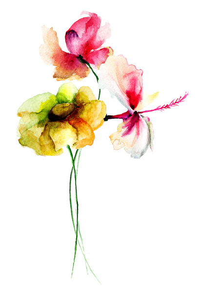 Original flowers watercolor illustration - Foto, Imagem