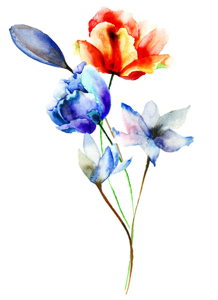 Beautiful flowers, watercolor illustration - Foto, Imagem
