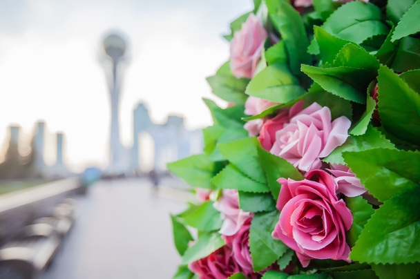 Frowers in the city, Astana, Kazakhstan - Photo, Image