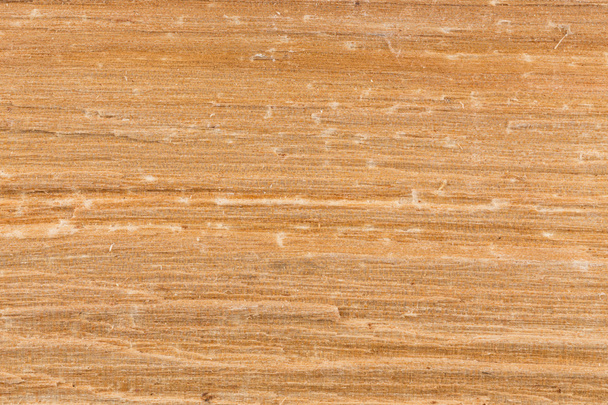 Birch wood texture - Photo, image