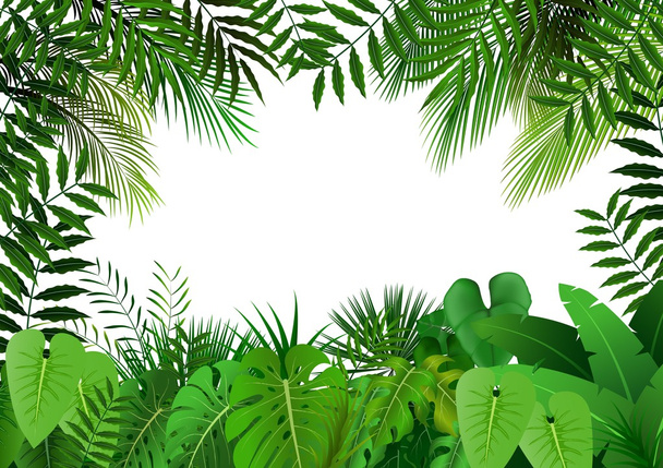 Jungle op witte achtergrond - Vector, afbeelding