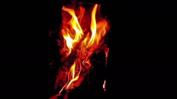 Brandhout branden in een oude stijl kachel 4k - Video