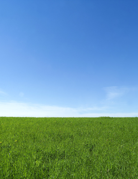 Green Field - Photo, Image