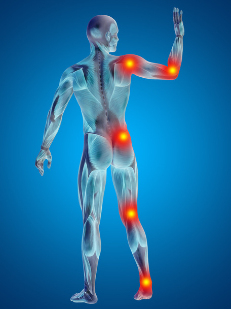 3D humain ou homme avec des muscles pour l'anatomie ou la santé conçoit avec douleur articulaire ou osseuse. Un mâle sur fond bleu
 - Photo, image