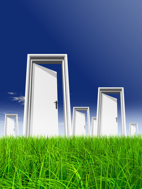 High resolution green, fresh and natural 3d conceptual grass over a blue sky background, a opened door at horizon - Photo, Image