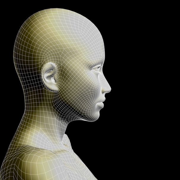 Koncepcja lub pojęciowy 3d model szkieletowy młodego człowieka kobieta lub kobieta twarzy i głowy na białym tle - Zdjęcie, obraz