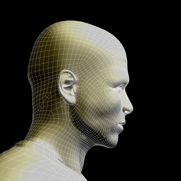 Koncepcja lub pojęciowy 3d model szkieletowy młodego człowieka mężczyzna lub człowiek twarz i głowę na białym tle - Zdjęcie, obraz
