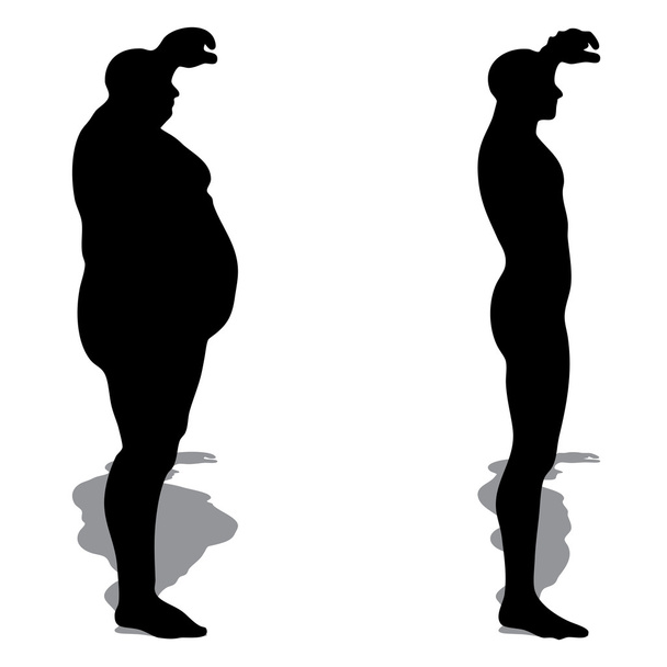 Concepto o conceptual de grasa 3D sobrepeso vs dieta slim fit con músculos silueta de hombre joven aislado sobre fondo blanco
 - Foto, Imagen