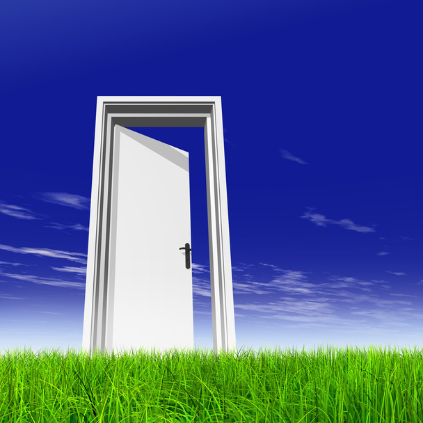 Hoge resolutie groene, verse en natuurlijke 3d conceptuele gras op een blauwe hemelachtergrond, een geopende deur aan horizon - Foto, afbeelding