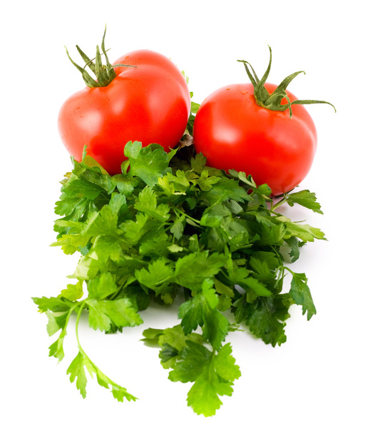 Perejil de tomate
 - Foto, imagen