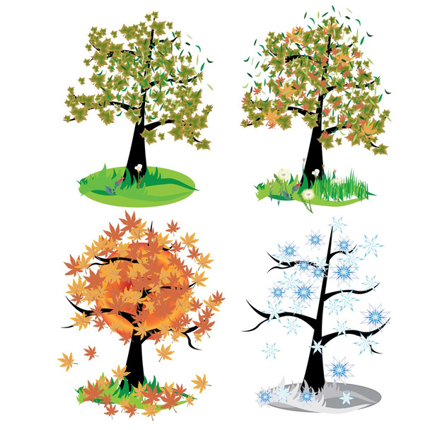 Four seasons - spring, summer, autumn, winte - Vector, Image