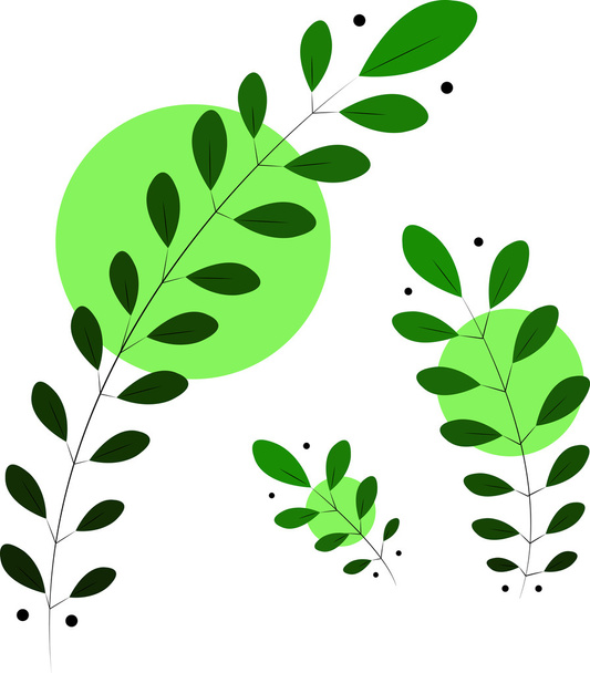 Green leaf branches with gradient - Vector, Image