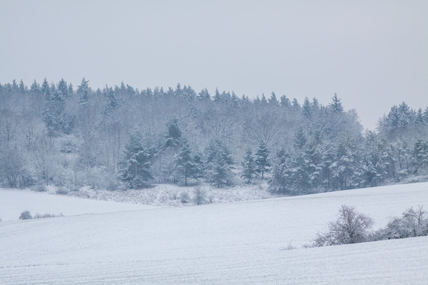 Wintry landscape in january - Fotó, kép