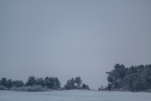 Winterliche Landschaft im Januar - Foto, Bild