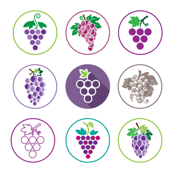 Grapes Icons and Logo Set - Vector, Image