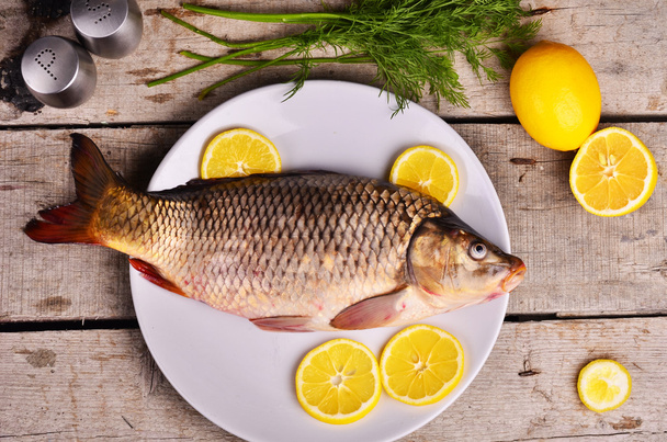 Čerstvé ryby Cyprinus carpio carpio s koprem a citronem  - Fotografie, Obrázek