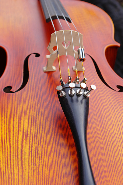 Fechar de um violoncelo
 - Foto, Imagem