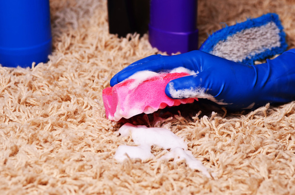 ludzie, prace domowe i sprzątanie koncepcja - bliska kobiety w gumowe rękawice z tkaniny i detergentów spray do czyszczenia dywanów w domu - Zdjęcie, obraz