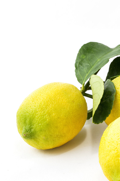 Lemons isolated on white background - Foto, afbeelding