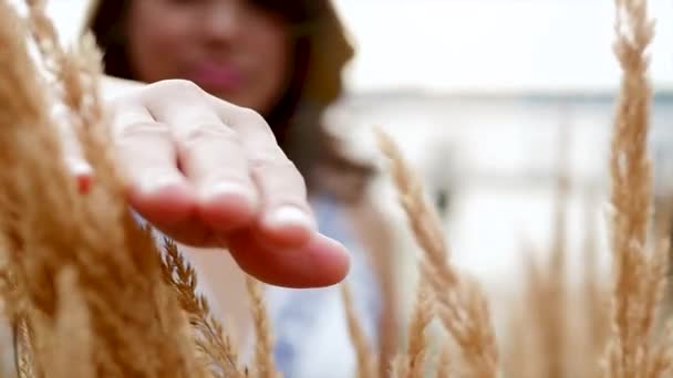 žena dotýká trávy - Záběry, video
