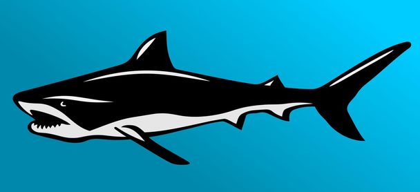動物魚サメ ベクトル図 - ベクター画像