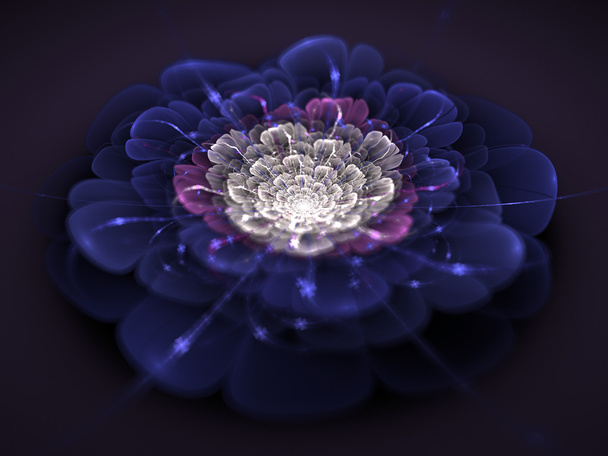 Modèle de fleur fractale
 - Photo, image