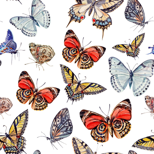 watercolor pattern with beautiful butterflies. - Fotoğraf, Görsel