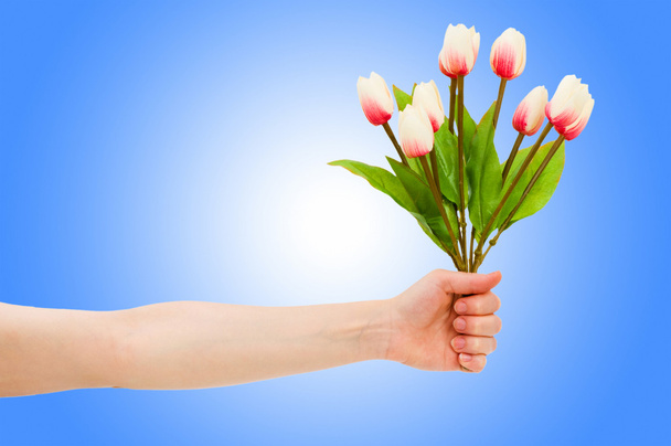 Hand with tulips on gradient - Photo, Image