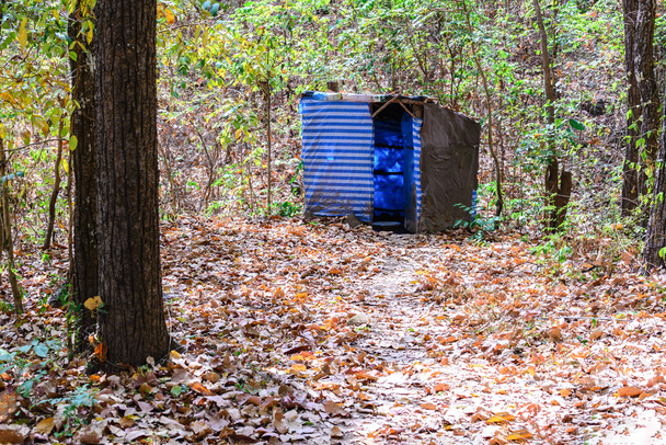 Временно туалет в лесу
. - Фото, изображение
