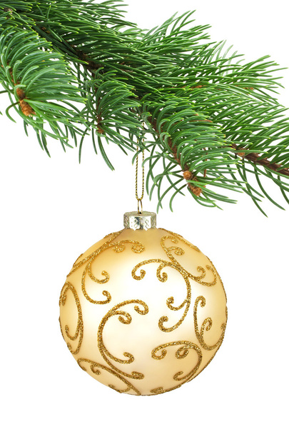 Golden ornament christmas ball in a fir tree - 写真・画像