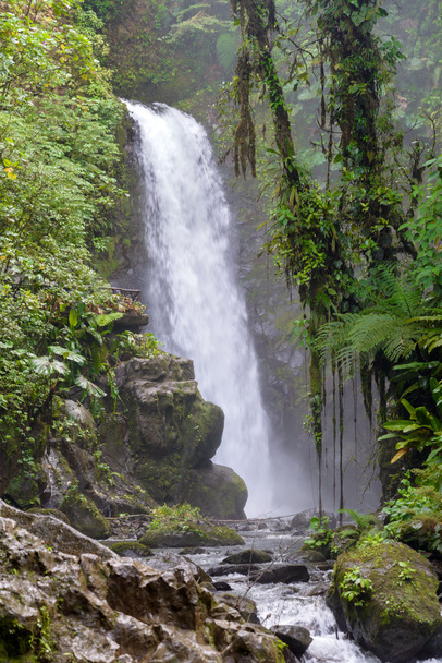 Waterfall in Costa Rica - Fotoğraf, Görsel