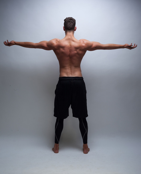 modelo masculino com costas musculares
 - Foto, Imagem