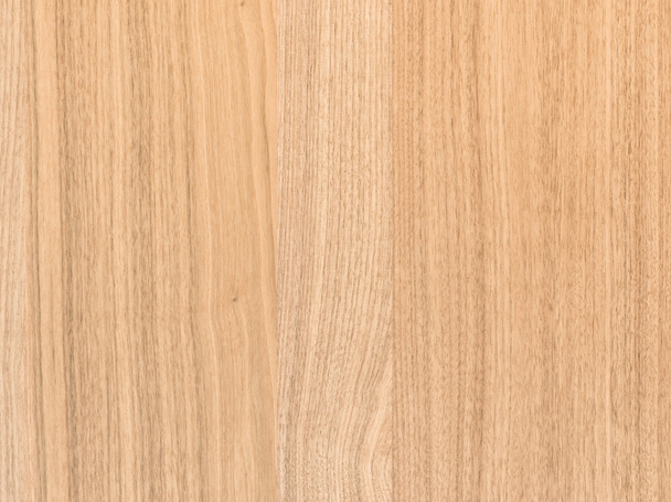 Dió fa felület háttér - Fotó, kép