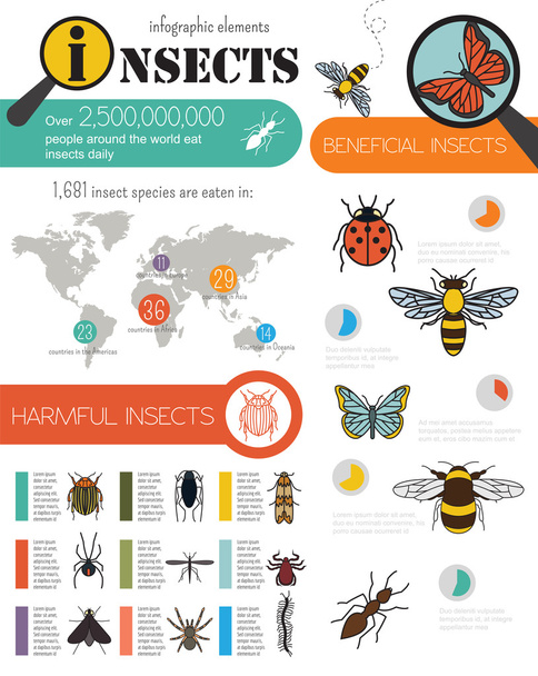 Έντομα infographic πρότυπο - Διάνυσμα, εικόνα