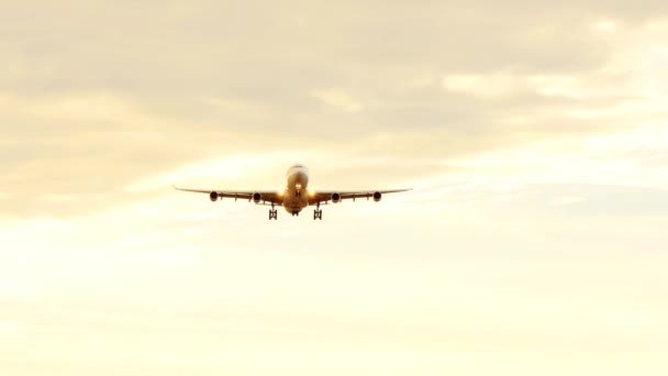 repülőgép leszállás a repülőtéren - Felvétel, videó