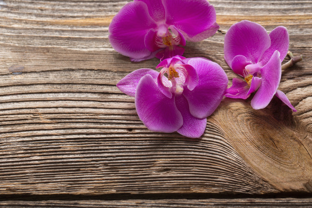 Pink orchid flowers on a wooden background - Fotoğraf, Görsel